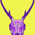 Sugar deer